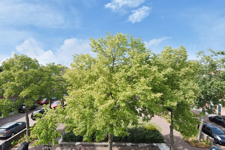 Foto 37 van Westerstraat 95