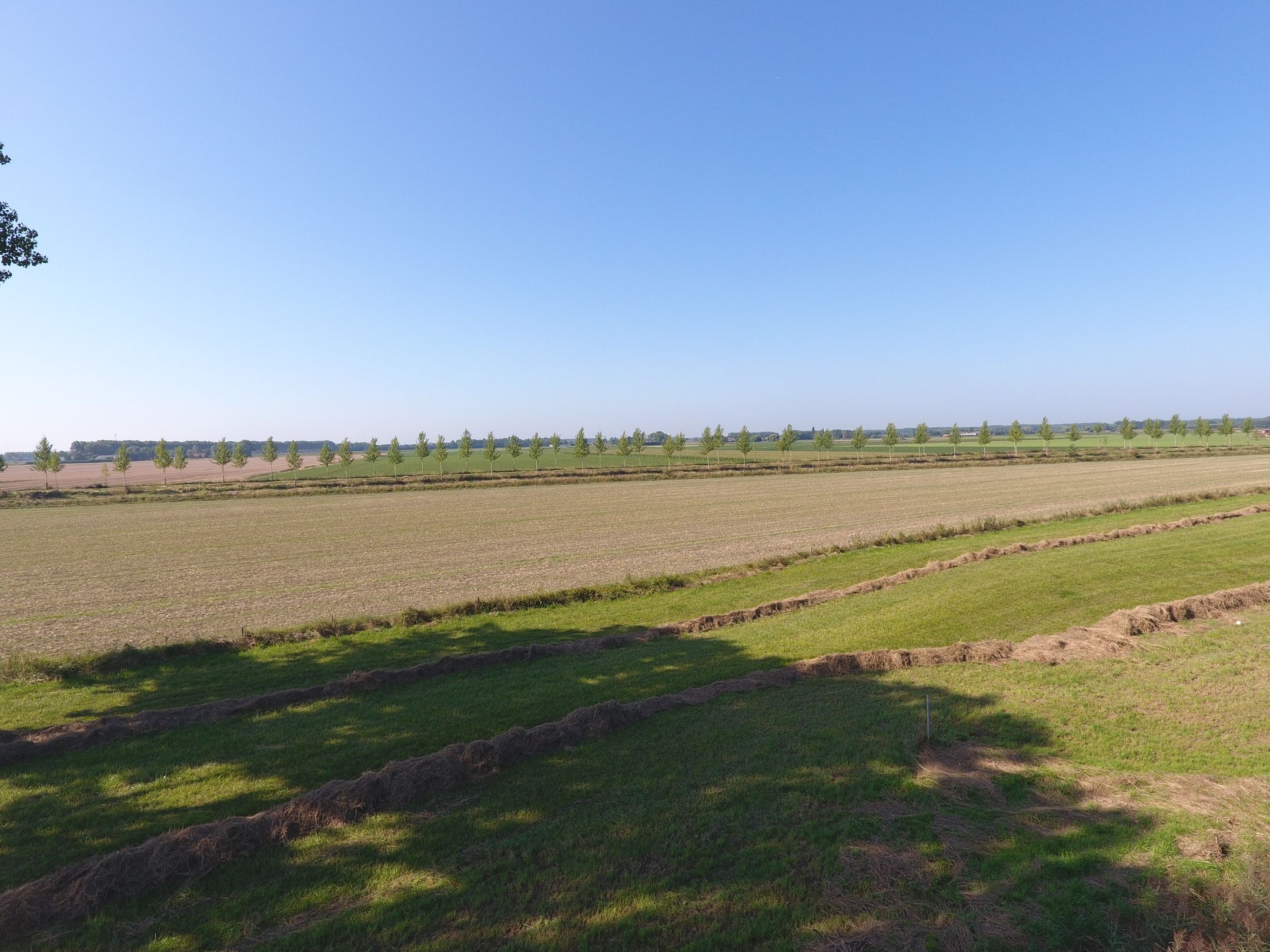 Foto 21 van Lepehof 4