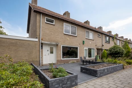 undefined main image