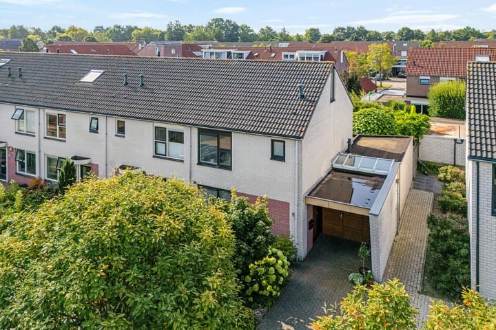 Foto 1 van Boterbloem 12