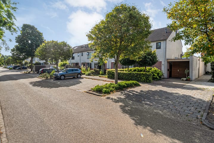 Foto 6 van Boterbloem 12