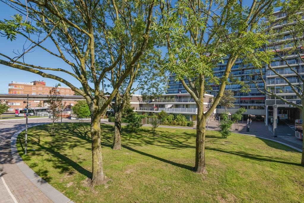 Foto 24 van Zuiderterras 46