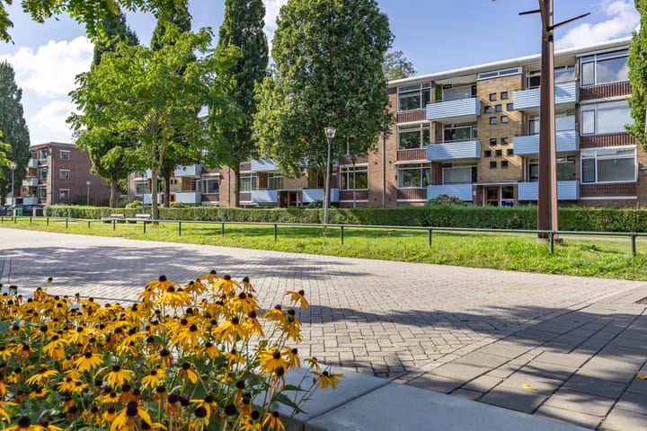 Foto 6 van Jacob van Ruysdaelstraat 15