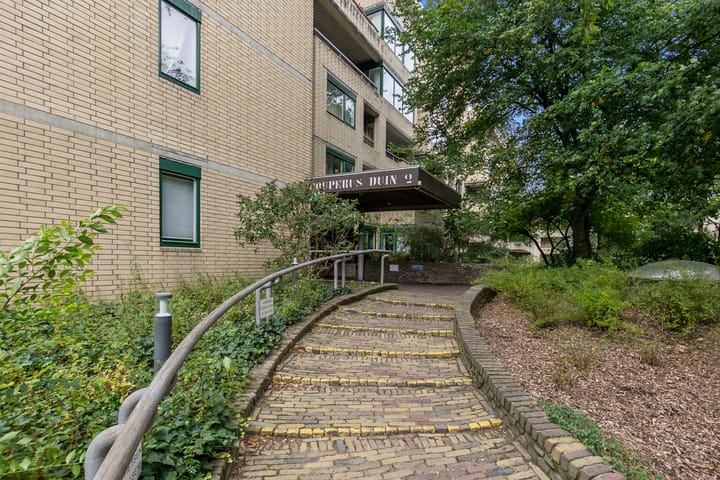 Foto 3 van Burgemeester Patijnlaan 368