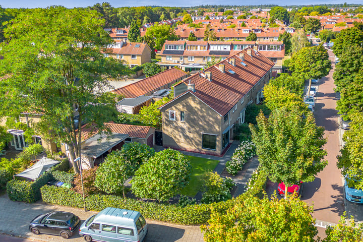 Foto 2 van Witte de Withlaan 12