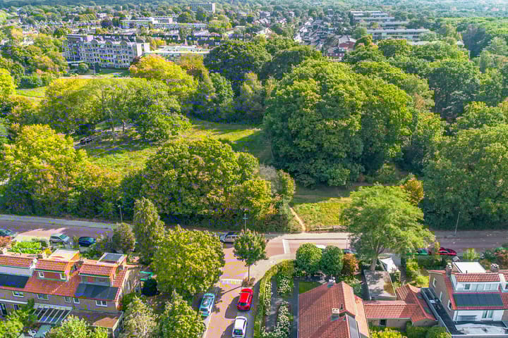 Foto 3 van Witte de Withlaan 12