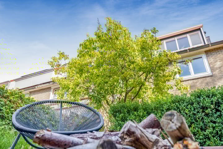 Foto 32 van Witte de Withlaan 12