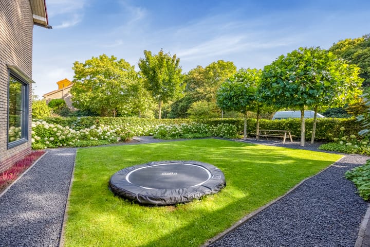 Foto 36 van Witte de Withlaan 12