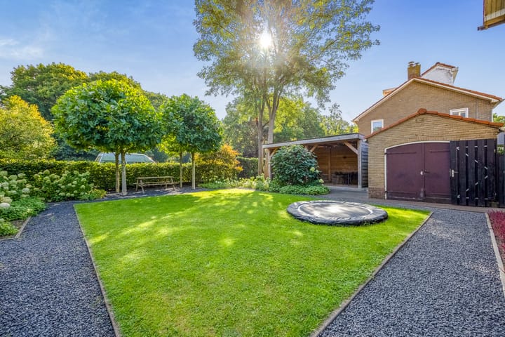 Foto 37 van Witte de Withlaan 12