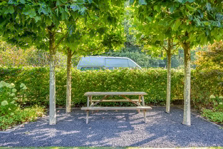 Foto 38 van Witte de Withlaan 12