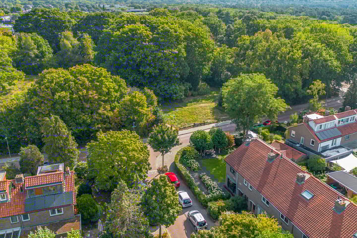 Foto 44 van Witte de Withlaan 12