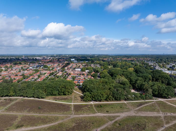 Foto 46 van Witte de Withlaan 12