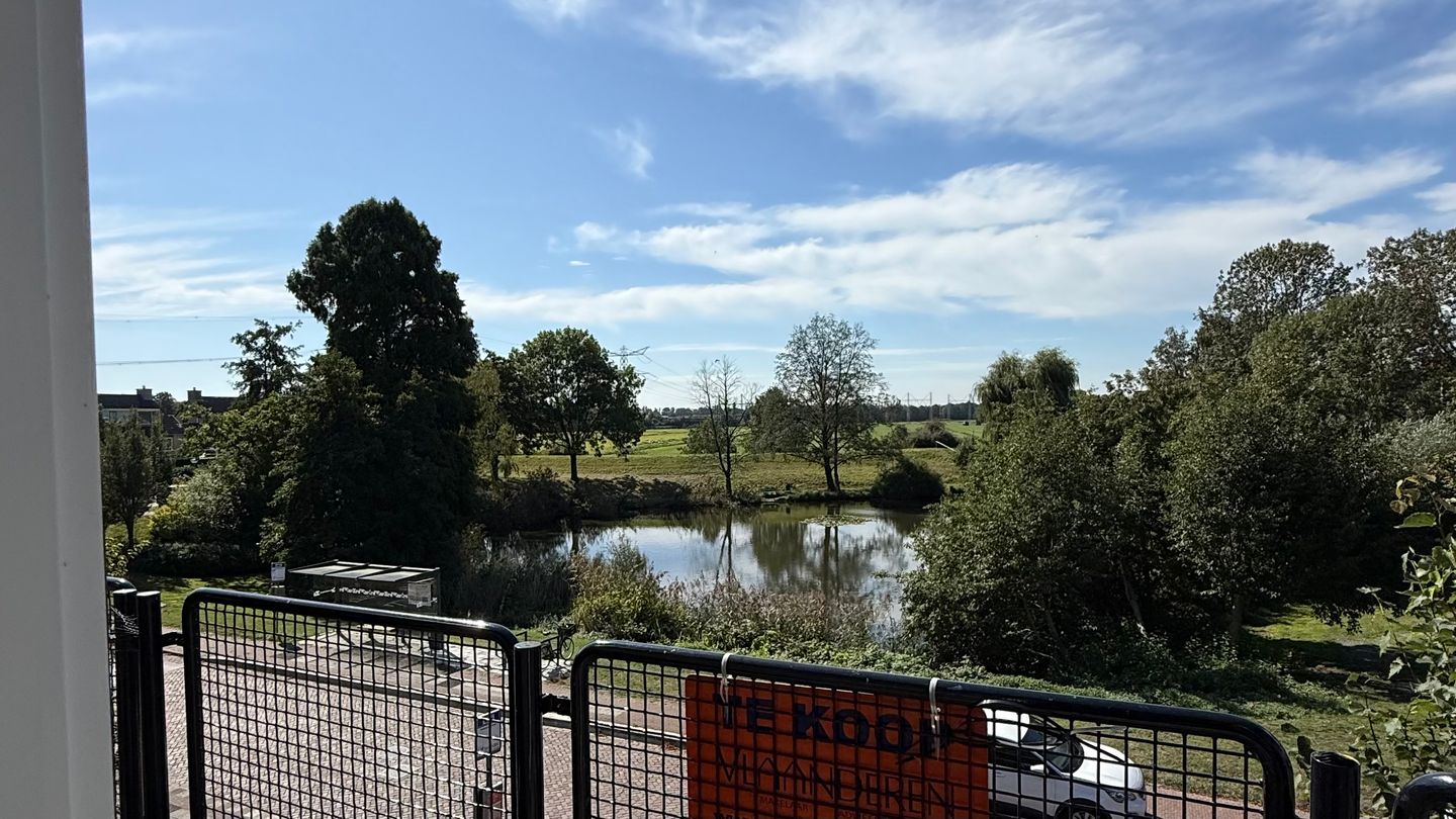 Foto 1 van Tesselschadelaan 97