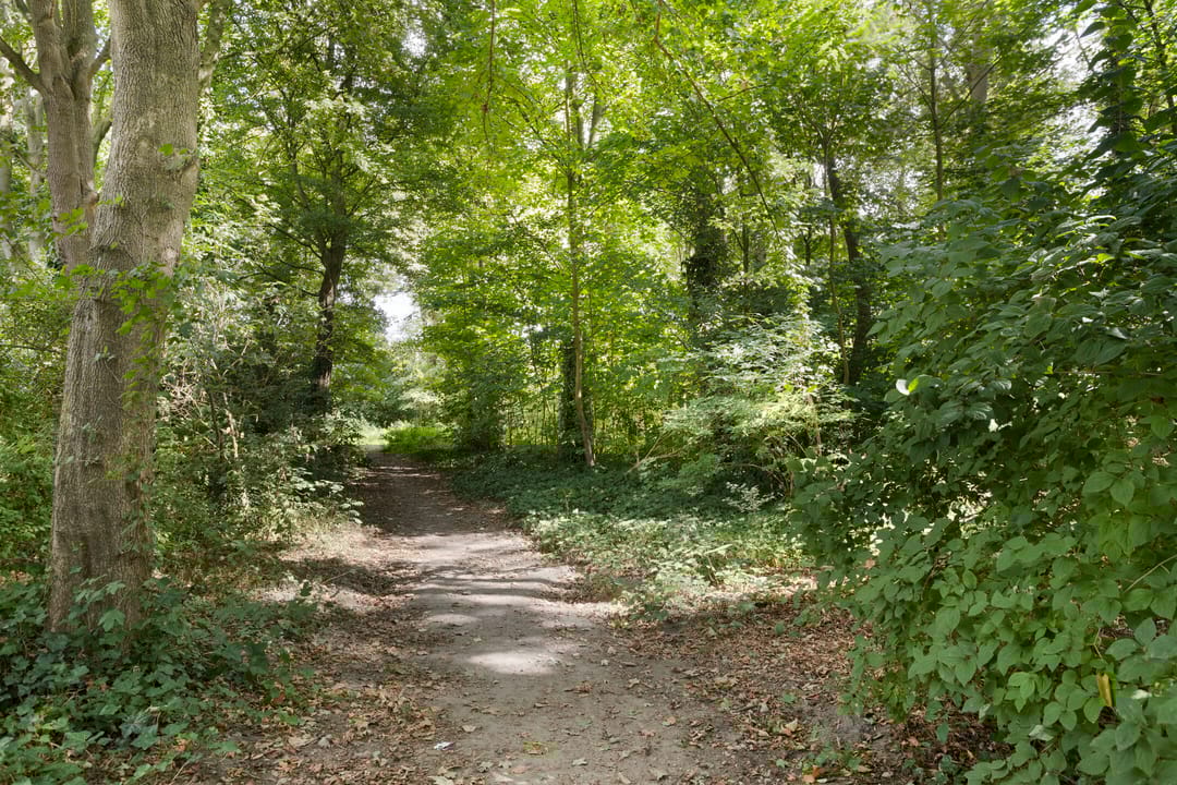 Photo 41 of Turfveldenstraat 22