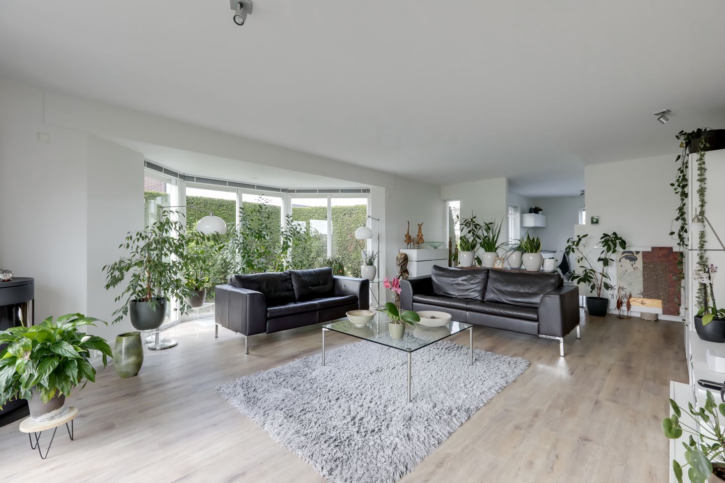 Photo 14 of Antoniusstraat 7