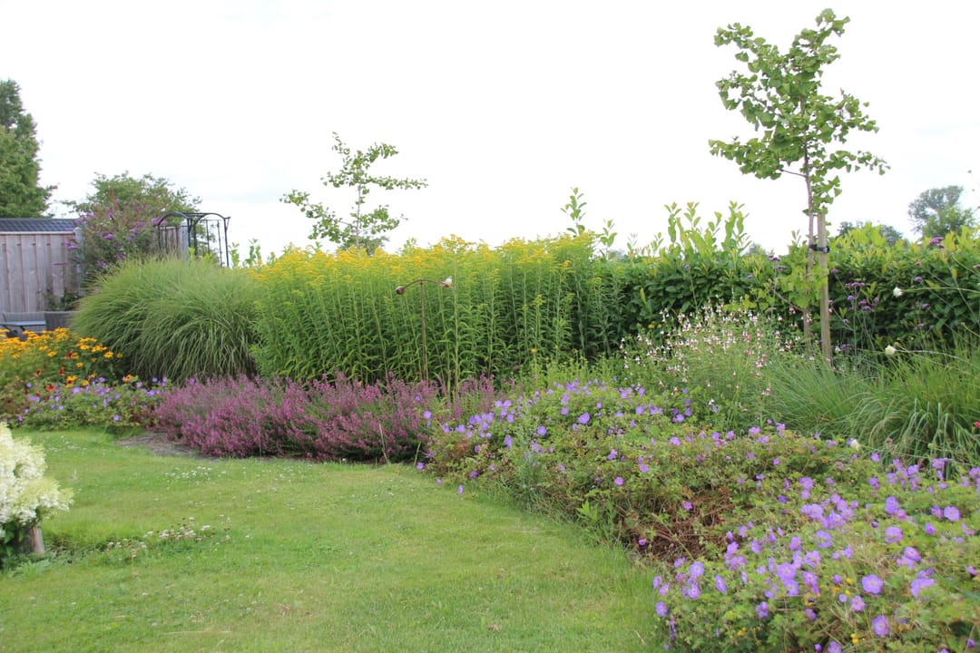 Photo 52 of Antoniusstraat 7