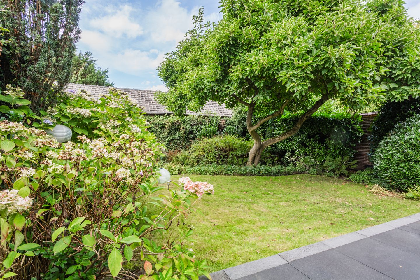 Foto 44 van Waterigeweg 60