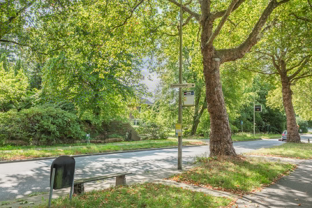 Foto 46 van Waterigeweg 60