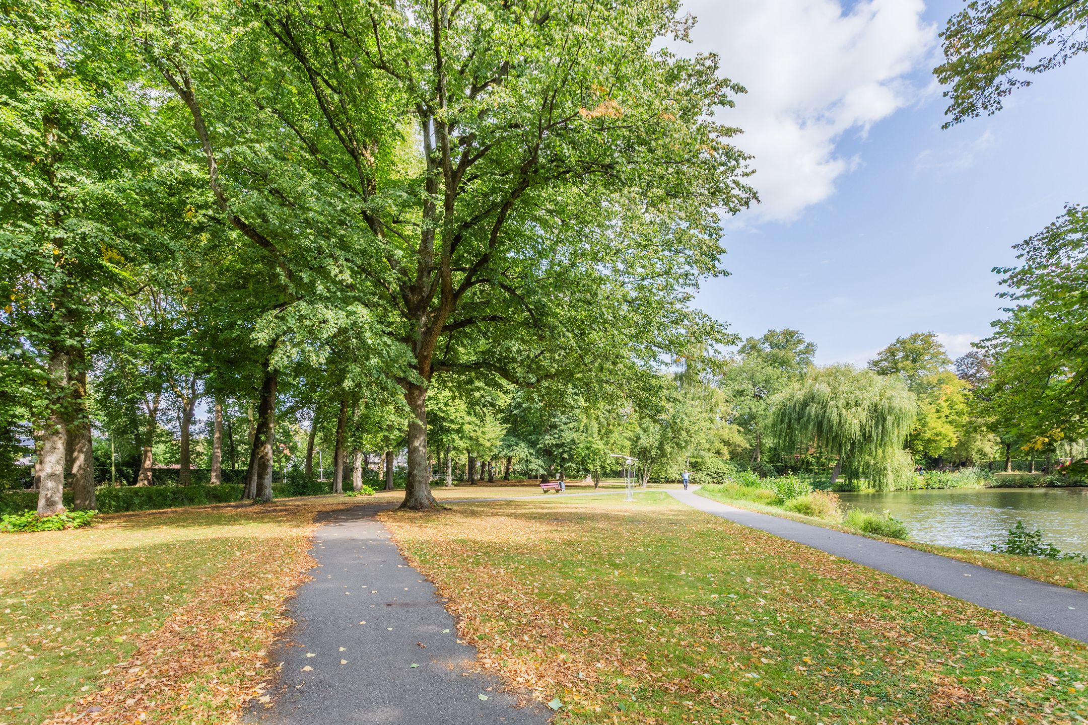 Foto 48 van Waterigeweg 60