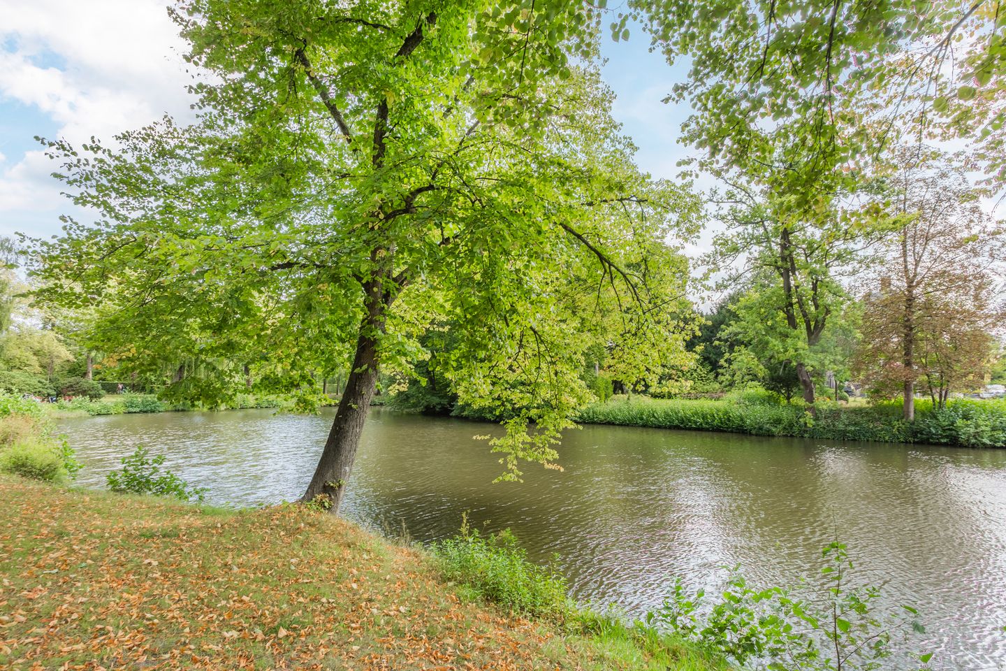 Foto 49 van Waterigeweg 60