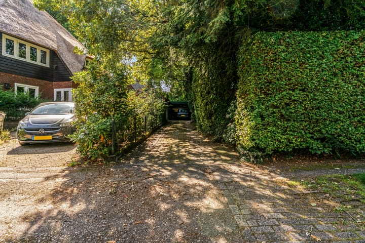 Foto 52 van Dr. Nolenslaan 10