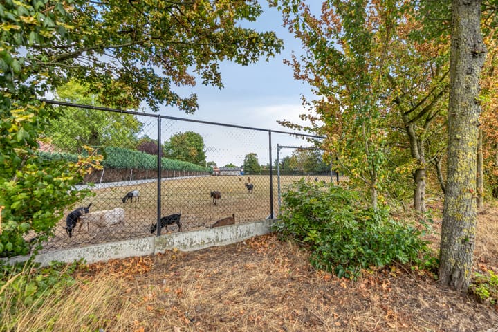 Foto 32 van Dalweg 14