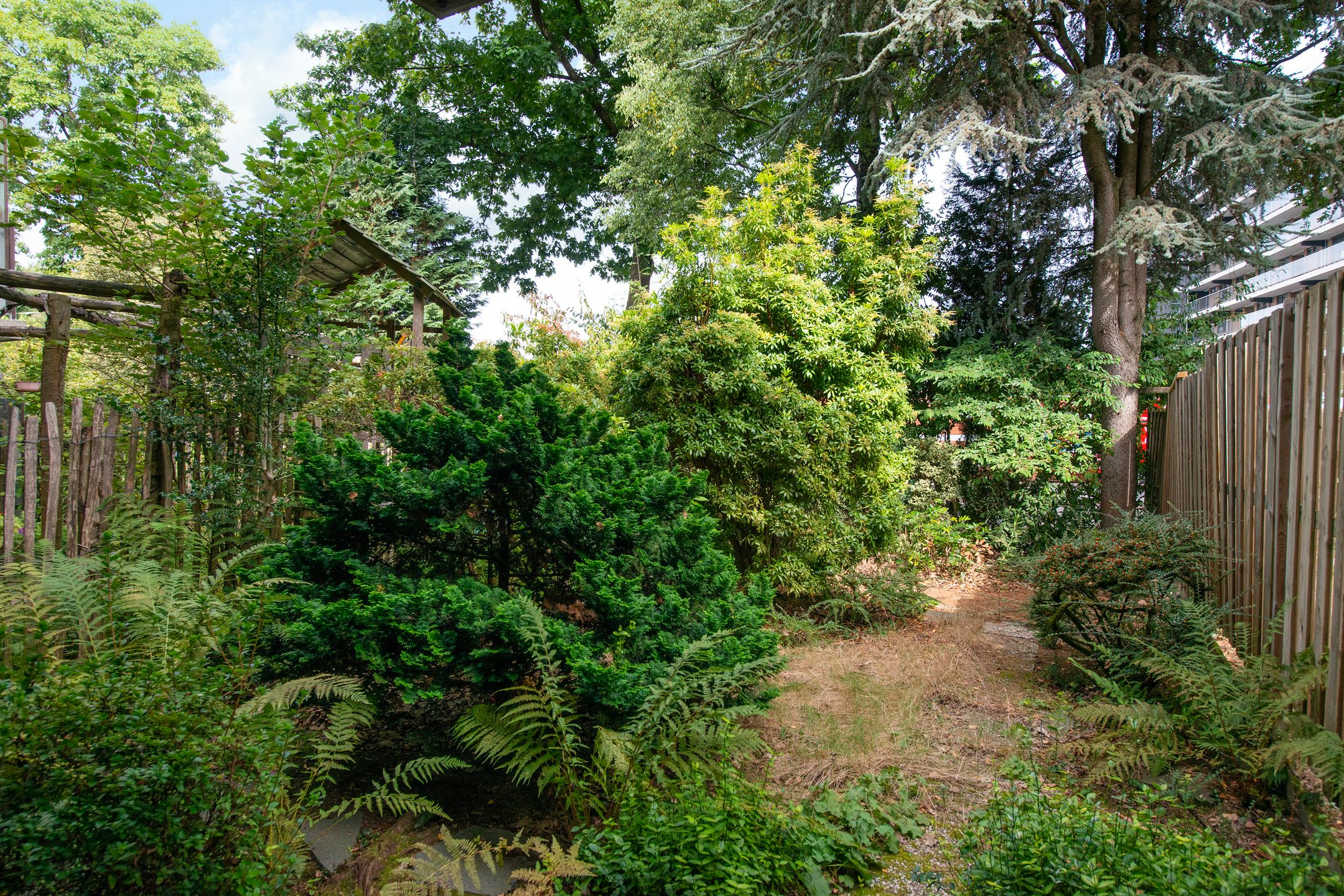 Foto 42 van Patrijzenlaan 23