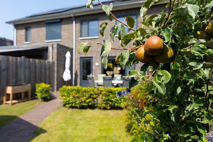 Photo 38 of Op den Bond 4