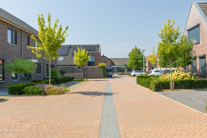 Photo 50 of Op den Bond 4