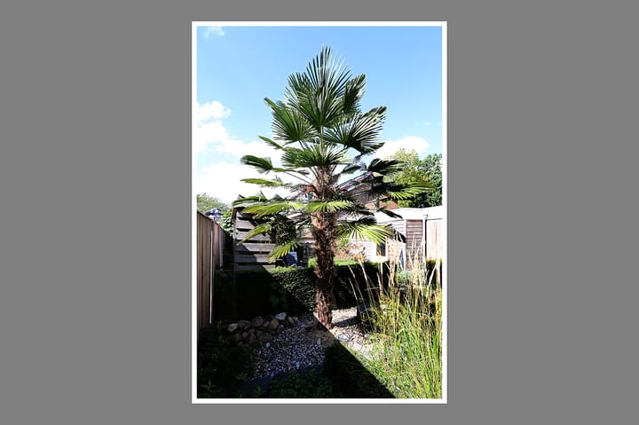 Photo 33 of Esdoornlaan 23