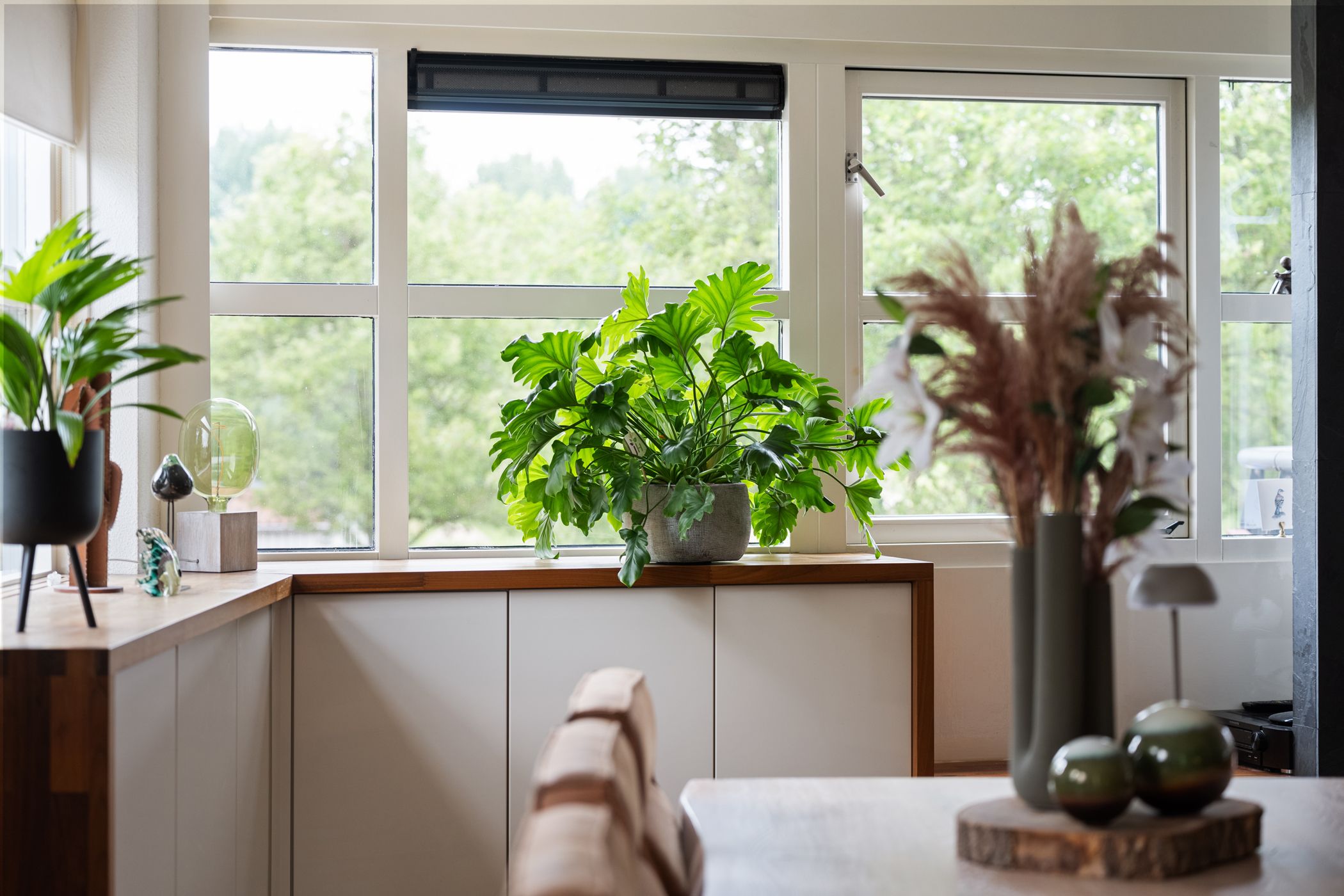 Foto 18 van Amazone 199