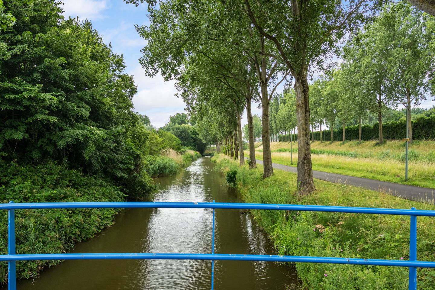 Foto 65 van Amazone 199