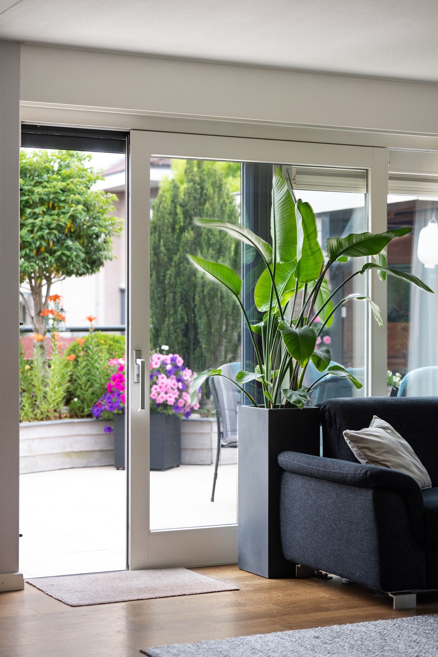 Foto 75 van Amazone 199