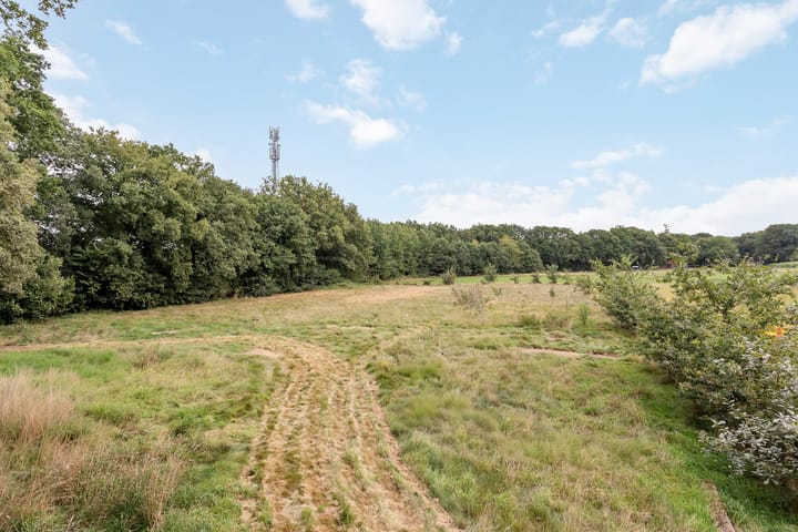 Photo 16 of Drieschichtsweg 6