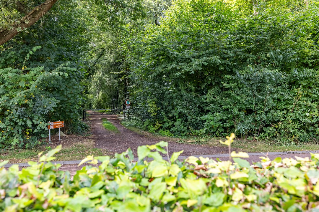 Foto 22 van Dennenlaan 3