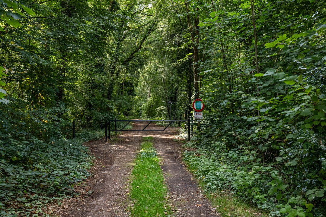 Foto 46 van Dennenlaan 3