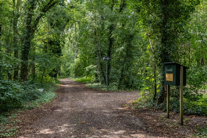 Foto 47 van Dennenlaan 3