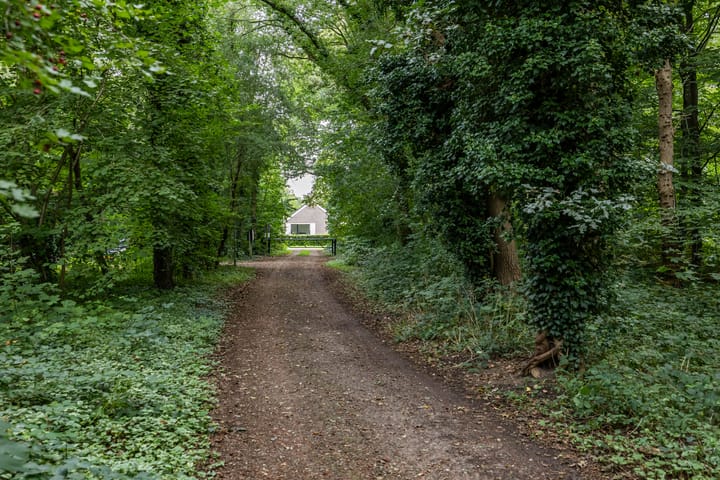 Foto 48 van Dennenlaan 3