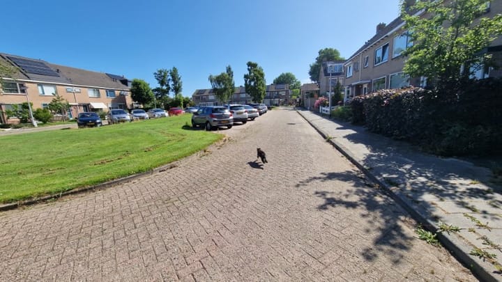 Foto 12 van Raiffeisenlaan 41