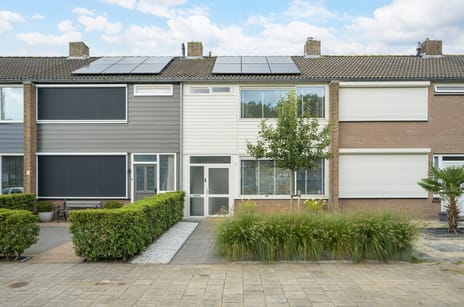 undefined main image