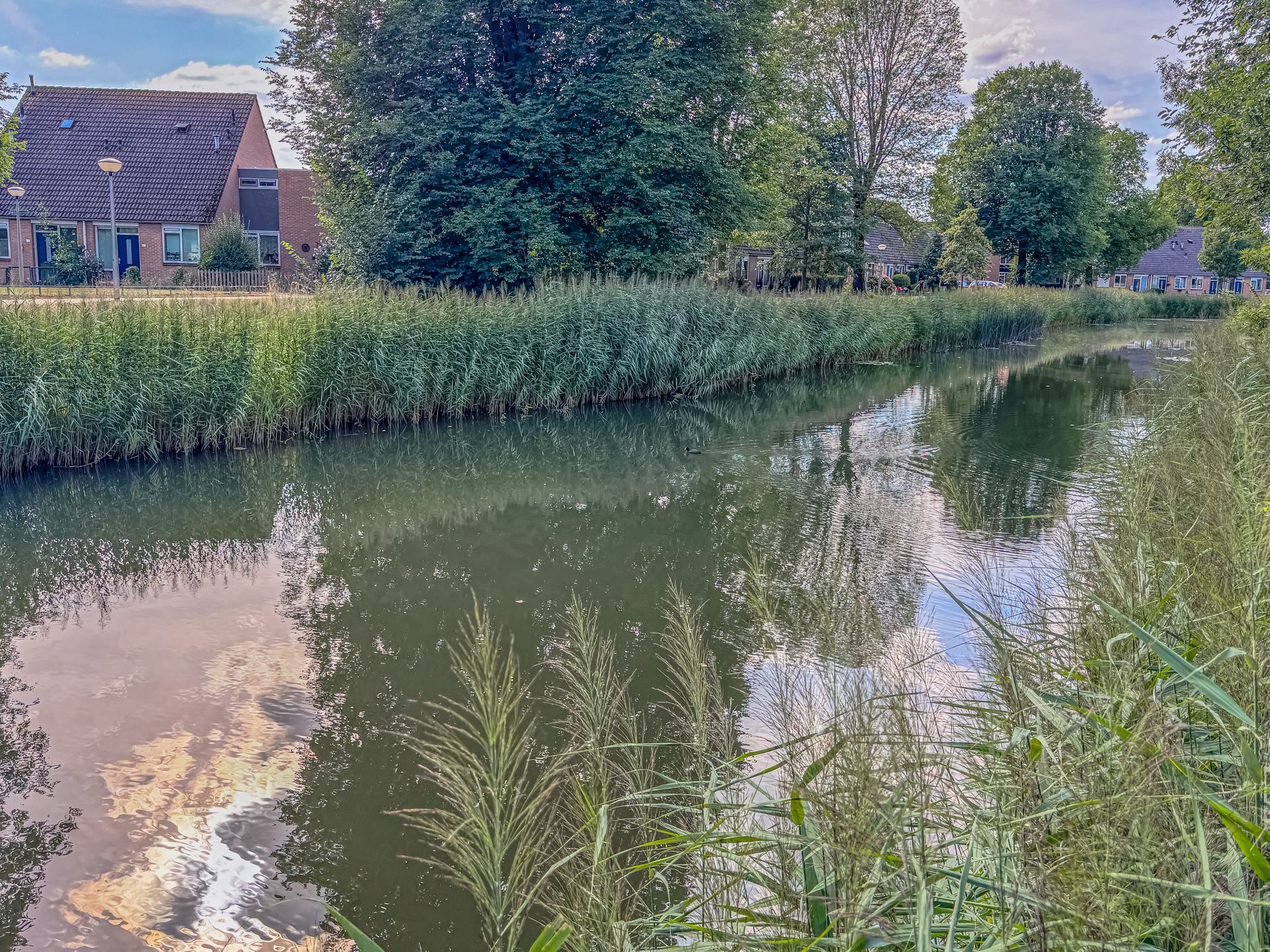 Foto 39 van Mierlostraat 5