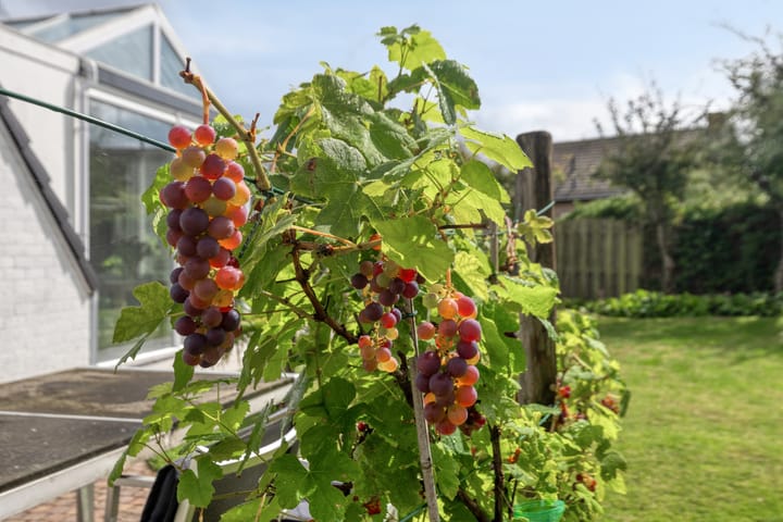 Photo 26 of Sloestraat 15