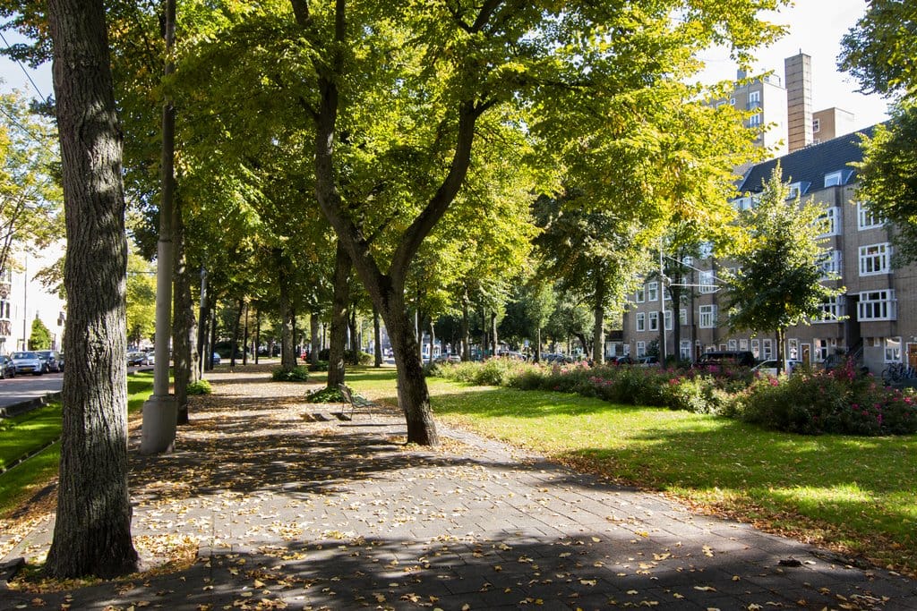 Foto 19 van Churchill-laan 32-2