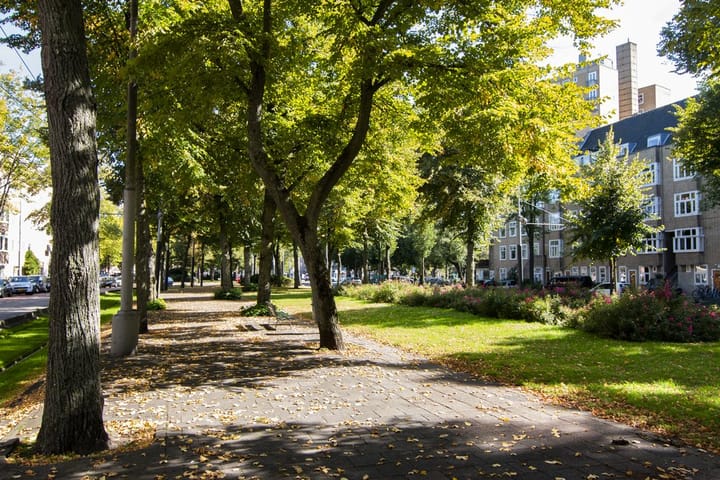 Foto 19 van Churchill-laan 32-2