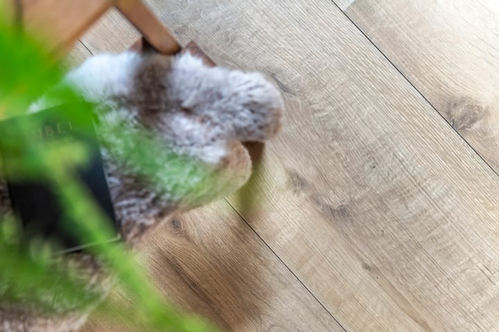 Foto 12 van Lindelaan 1-E