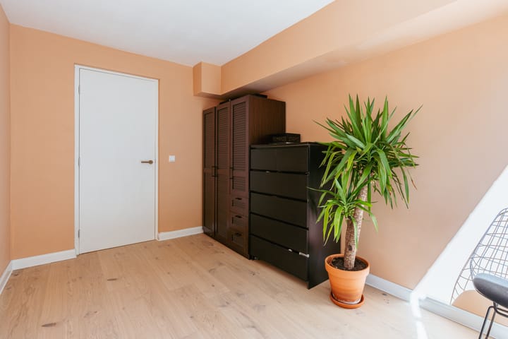 Foto 21 van Trouringhstraat 10-H