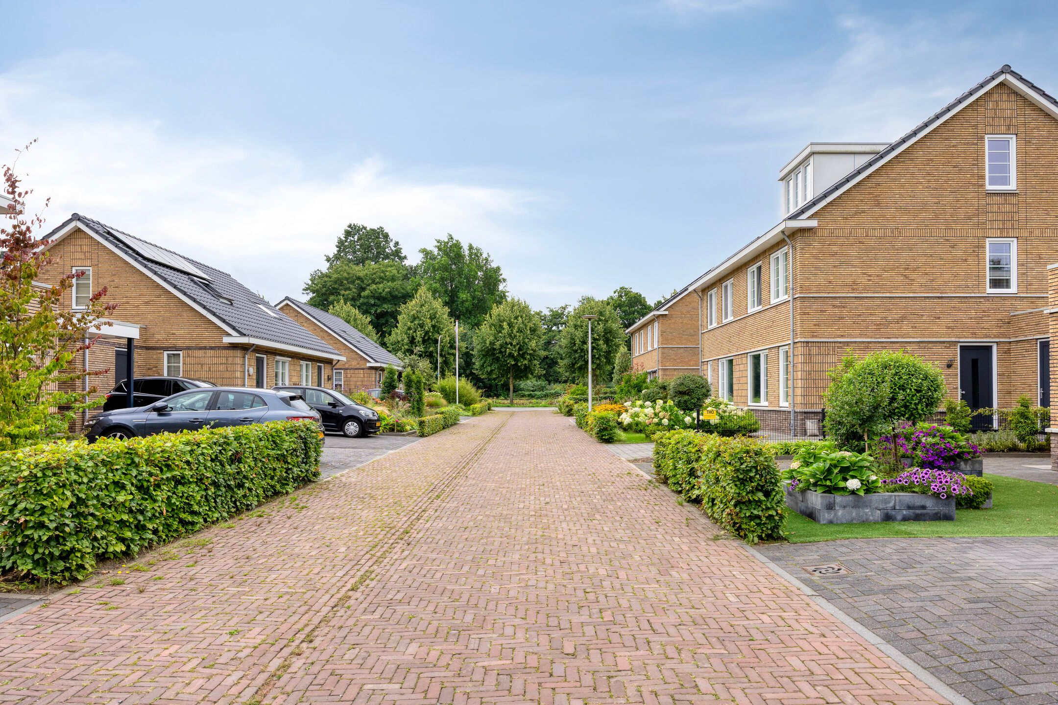 Photo 42 of F.C. Dondersstraat 7