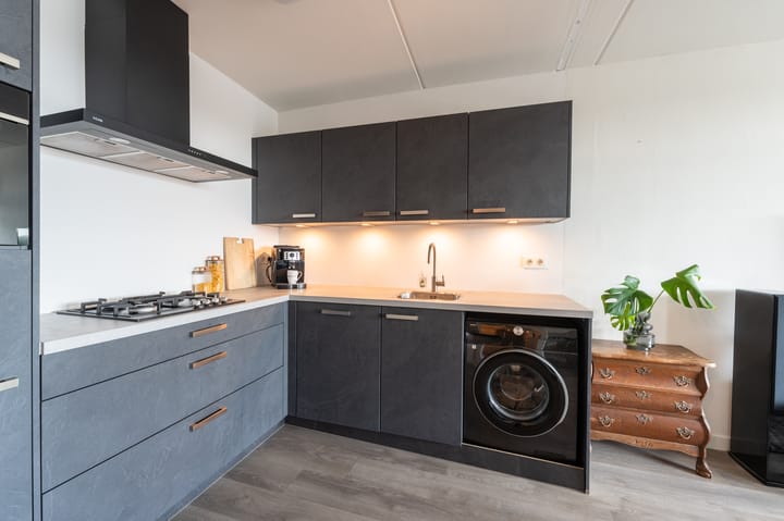 Foto 3 van Penningkruid 23