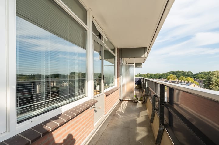 Foto 5 van Penningkruid 23