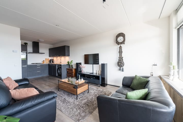 Foto 2 van Penningkruid 23